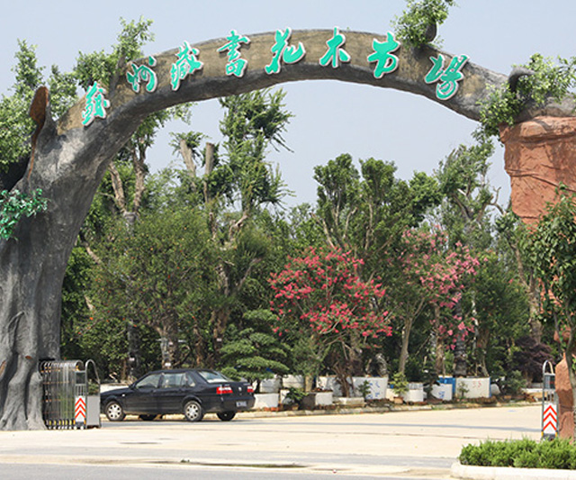 苏州藏书花卉苗木市场网站